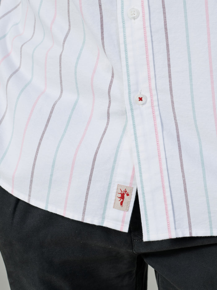 Aubin Bright Multi Stripe Aldridge Oxford Button Down Shirt | Oxford Shirt