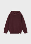 Boston Kids - Boys Knit Hooded Sweater - Maroon