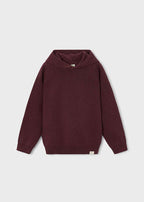 Boston Kids - Boys Knit Hooded Sweater - Maroon