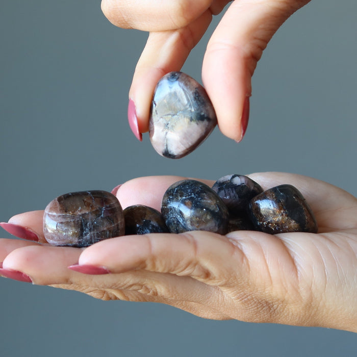 hand holding Chiastolite Tumbled Stone Set