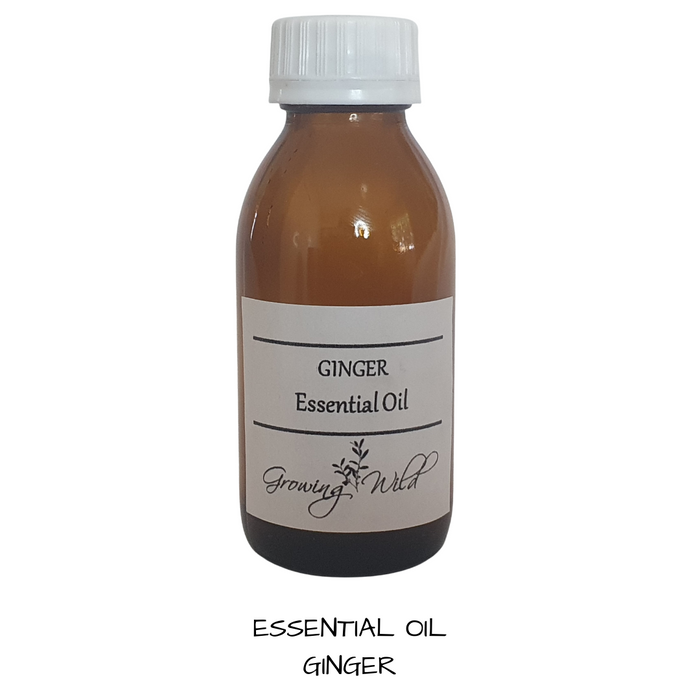 EO Ginger Essential Oil 10 mls