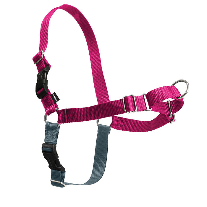 PetSafe Easy Walk Harness Small