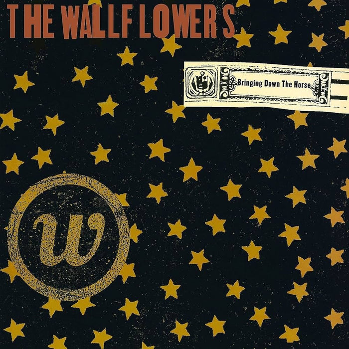 THE WALLFLOWERS - BRINGING DOWN THE HORSE - 2-LP - VINYL LP